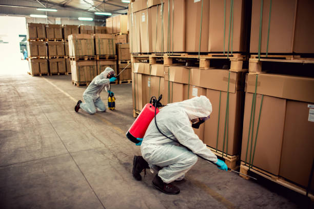Best Cockroach Control Services  in Pasadena, MD