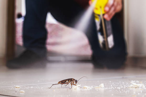 Best Wildlife Control Services  in Pasadena, MD