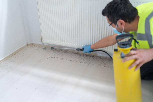 Best Ant Control Services  in Pasadena, MD